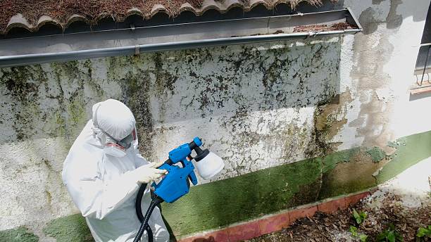 Trusted Mold Testing service in Hertford, NC - Cheap Mold Removal